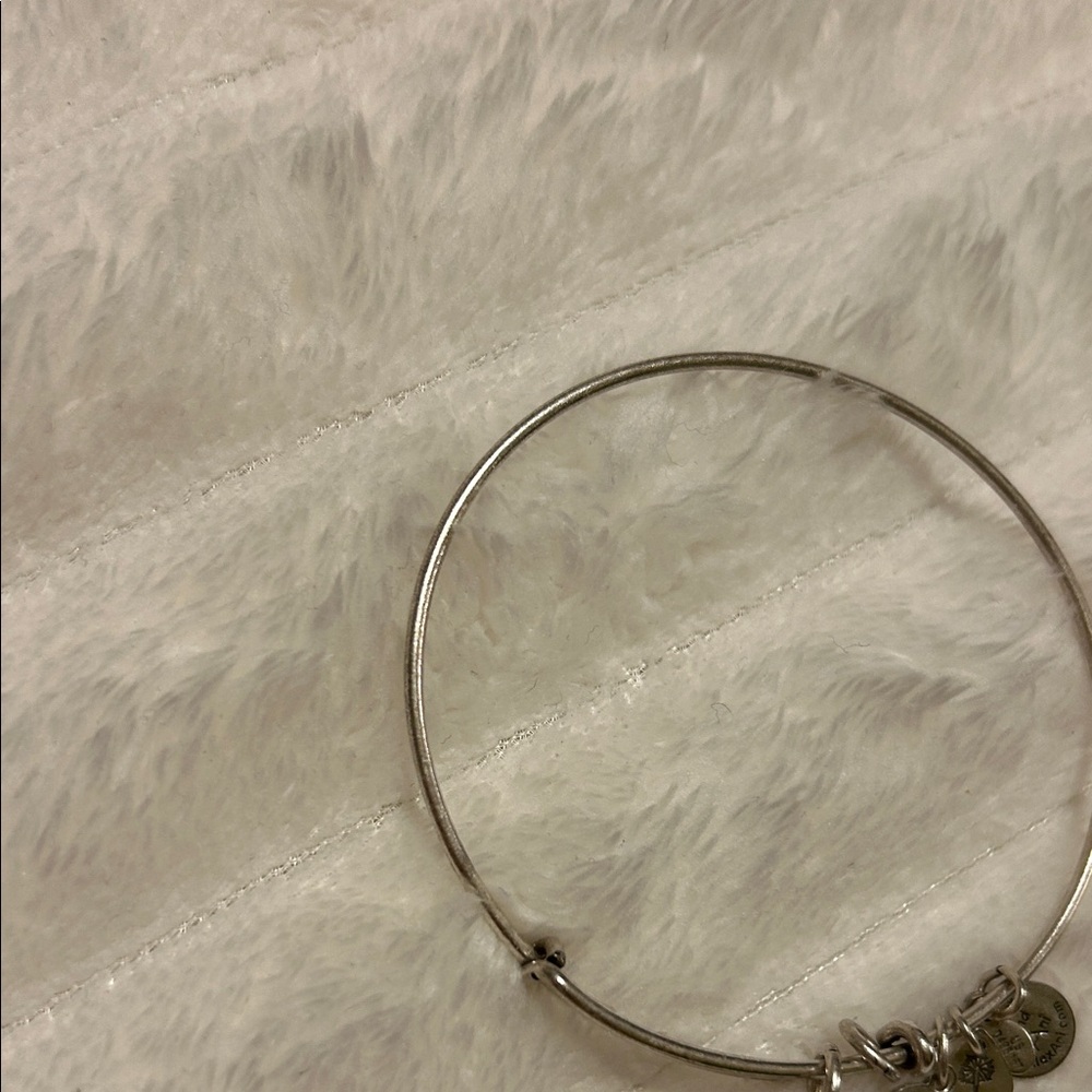 RARE Alex and Ani Walt Disney World Bracelet - Picture 7 of 13